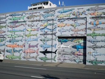 A neat anti shark-finning mural